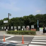 野球が子供から選んでもらえない競技に
