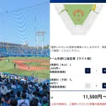 外野席でも1万円超...高額化が止まらないプロ野球チケット「ダイナミックプライシング」の功罪