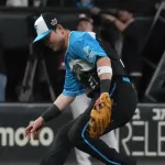 日本ハムファイターズ 22試合18失策