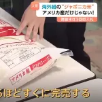 アメリカ産の米がスーパーで大人気wwwwwww