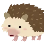 ハリネズミちゃん買ったけど嫌われすぎてﾜﾛﾀ