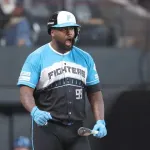 【日本ハム】決勝弾レイエスお立ち台辞退「もうちょっと打ってから絶対にファンの前に出ます」