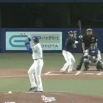 ヤクルト・長岡、古傷か？肉離れか？打った直後に走れず抱えられて引き下がる