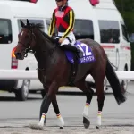 3冠牝馬・リバティアイランド、予後不良で安楽死…
