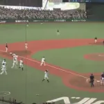 おかわり君、サヨナライオンｗｗｗｗｗｗｗｗｗｗｗｗｗｗｗｗｗｗｗ
