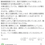 【悲報】もちまる日記に動物病院長が苦言「診察を撮影する飼い主は虐待と言われても仕方ない」