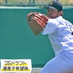 【有望株】もう一人の工藤がヤバすぎるwwwwwｗメジャー３球団が注目する北の豪腕！！