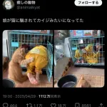 【悲報】X民、嘘松が一線を超えてしまう
