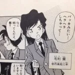 蘭姉ちゃんのヘアセットの仕事してるけど質問ある？
