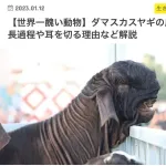 【悲報】ドバイのヤギ、お前らが想像してるのと違う🐐