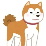 【動画】ピットブルを返り討ちにする秋田犬、お前らの想像の1.28倍デカイ