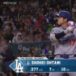 大谷さん選手としてピークの年なのに微妙な成績を残しそう
