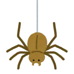 【画像】家帰ったらハエトリグモが倒れてた