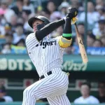 阪神・森下　左越え3号ソロは空砲も打率・317、3年目で初めてリーグトップ浮上