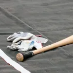 魚雷バット君、急に静かになる