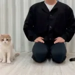【悲報】もちまる日記さん、活動再開したのに登録者が激減…何が起きた？