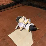 パワプロと葬送のフリーレンコラボ開催へ