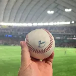 森下翔太のホームランボール獲ったドーｯｯｯｯｯ！！！！