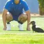 韓国メディア「大谷は自分のホームランよりもキム・ヘソンのヒットと得点がうれしそうだった