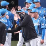 日本ハム新庄剛志監督、今年で辞めそう