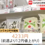 コメの価格、備蓄米を出したのに17週連続で値上がり🍚