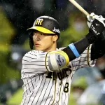 巨人岡本の長期離脱で佐藤輝の本塁打王の可能性が高まる