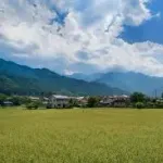【画像】この日本地図でド田舎認定されてる県に住んでる奴ｗｗｗｗｗｗｗｗｗｗｗｗｗｗｗｗ