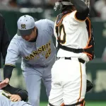 【悲報】背中に当たっただけでベンチから飛び出てくる藤川球児ｗｗｗｗｗｗｗｗｗｗ