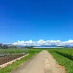 【急募】九州にある8つの県で1番ド田舎な県って宮崎県と佐賀県どっちなん?wwwwwwwwwwwwwwww