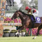 【疑問】「競馬は最悪の動物虐待」←この現実からみんなが逃げる理由・・・・