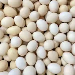 【急募】賞味期限が7日までの卵20個を使い切る方法ｗｗｗｗｗｗｗｗｗ