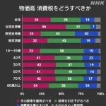 18～30代｢消費税引き下げ賛成｣　40代以降｢消費税引き下げ反対｣