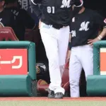 千葉ロッテマリーンズｗｗｗｗｗｗｗｗｗｗｗｗｗｗ