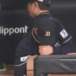 オリックスバファローズ←急に失速し始めた理由