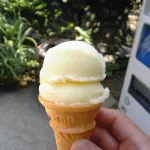 過小評価されていると思う市販のアイス