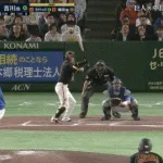 巨人・吉川、逆転3ランｗｗｗｗｗｗｗｗｗｗｗｗｗｗｗｗｗｗ