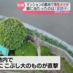 【悲報】マンションから泥団子を投擲して通行人を殺害しようとしたガキ、逮捕