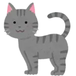 【画像】ウチの猫の性別どーっちだ？