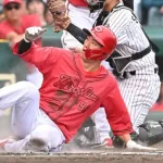 カープ中村奨成ホームスチール失敗について新井監督「私のミスです」赤松コーチ「奨成自身に過失はない」【監督談話】