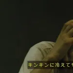 (ヽ´ん`)｢クソみたいな人生大いに結構。熱々のファミチキをストゼロで流し込め｣