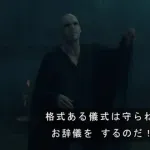 ハリポタのヴォルデモートって、何がすごい人だったの？？？