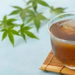 【朗報】麦茶とかいう水に袋ぶち込んどけば勝手に精製される奇跡の飲み物ｗｗｗｗｗｗｗｗｗｗｗｗｗｗｗｗ