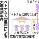 【朗報】広島地検さん、大麻農家のベトコンを不起訴処分ｗｗｗｗｗｗ
