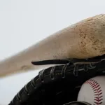 野球のバットボールグローブがいつまでも天然素材の理由