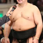 【朗報】日馬富士とかいう普通に強い横綱wwwwwwwwwwwwwwww