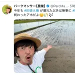 【朗報】パークマンサー、今年も無事に田植えを終える