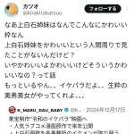 X民「上白石姉妹を可愛いと言う人見たことない」←7.7万いいね