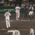 球審白井｢ファール！…ん？違う！アウトや！！｣