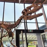 恐竜ってホンマに絶滅したんか？