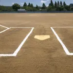 内野守備位置のルールないんだから全員バッターの目の前にいればよくね